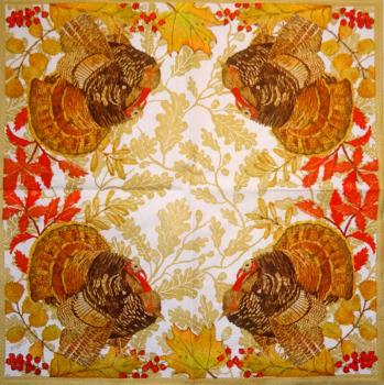 043 Peacock - 3-ply - Converting 2002